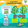 Kit Abonos LAAOS Full Organico Fertilizantes