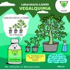 Kit Abonos LAAOS Full Organico Fertilizantes